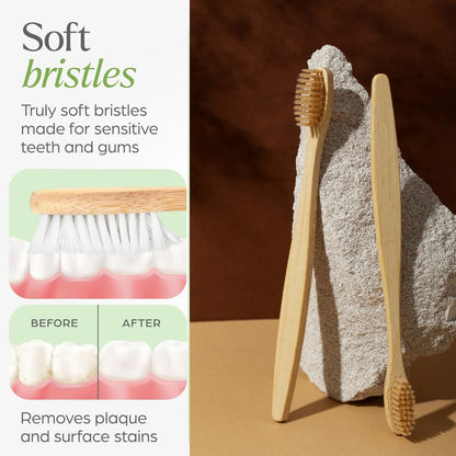 Premium Wall Mounted Toothbrush Holder Set (1 Set)