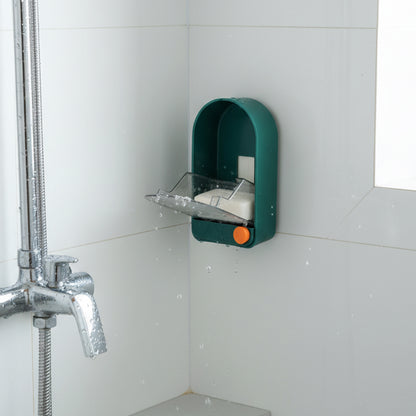 Dish Organizer