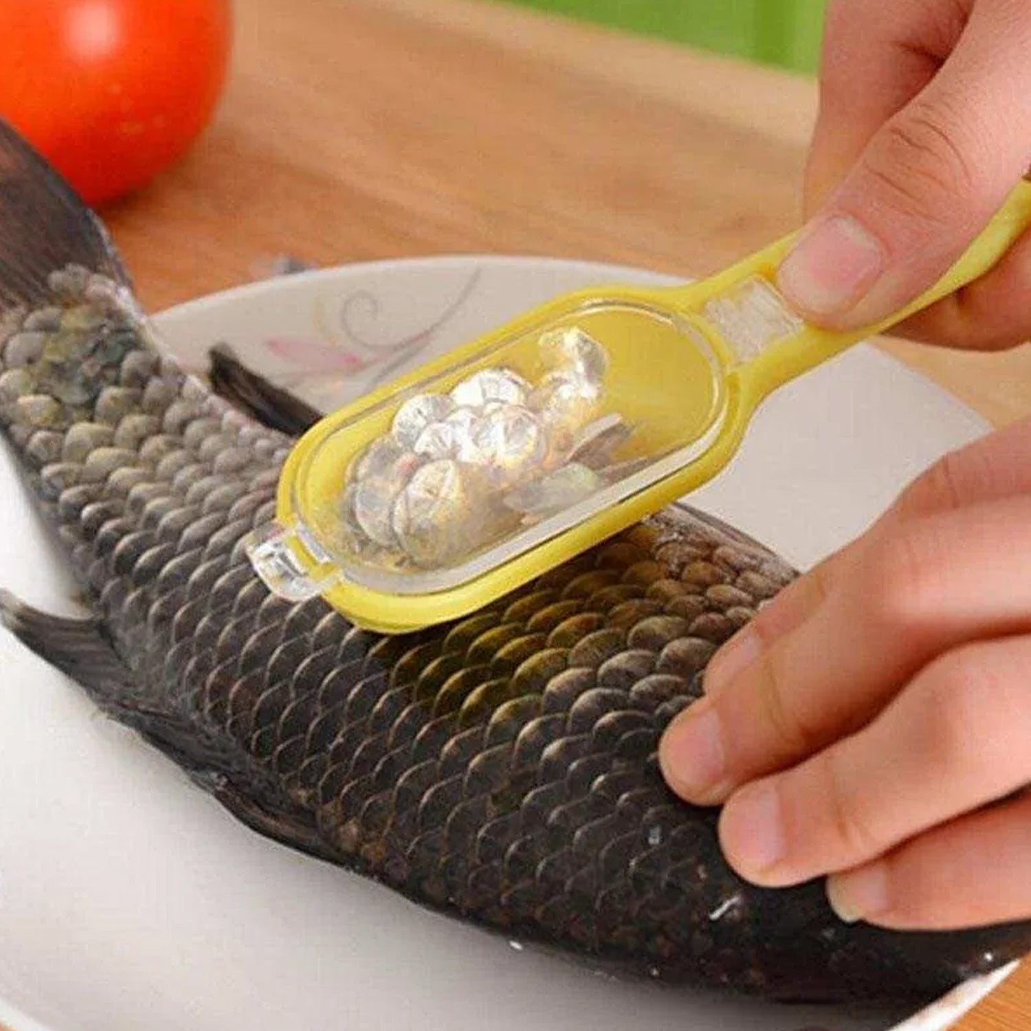 Purchase Plastic Fish Scales Grater Scraper | DeoDap