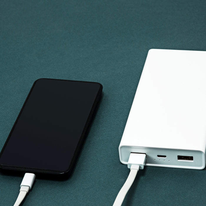 593 Power Bank Micro USB Charging Cable