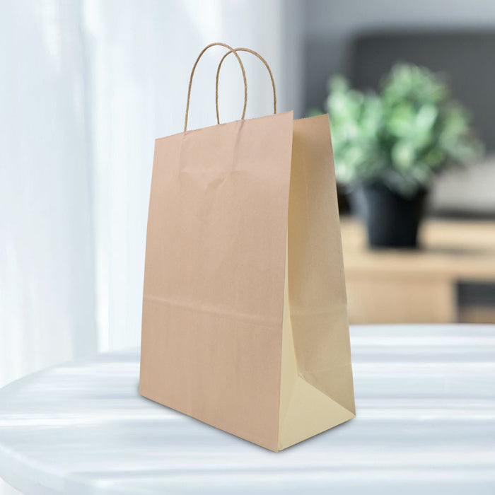 Brown Eco Paper Bag(10x13x5 Inch)