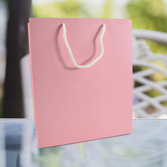 Plain Pink Paper Wedding Gift Bag (10x12x4 inch)