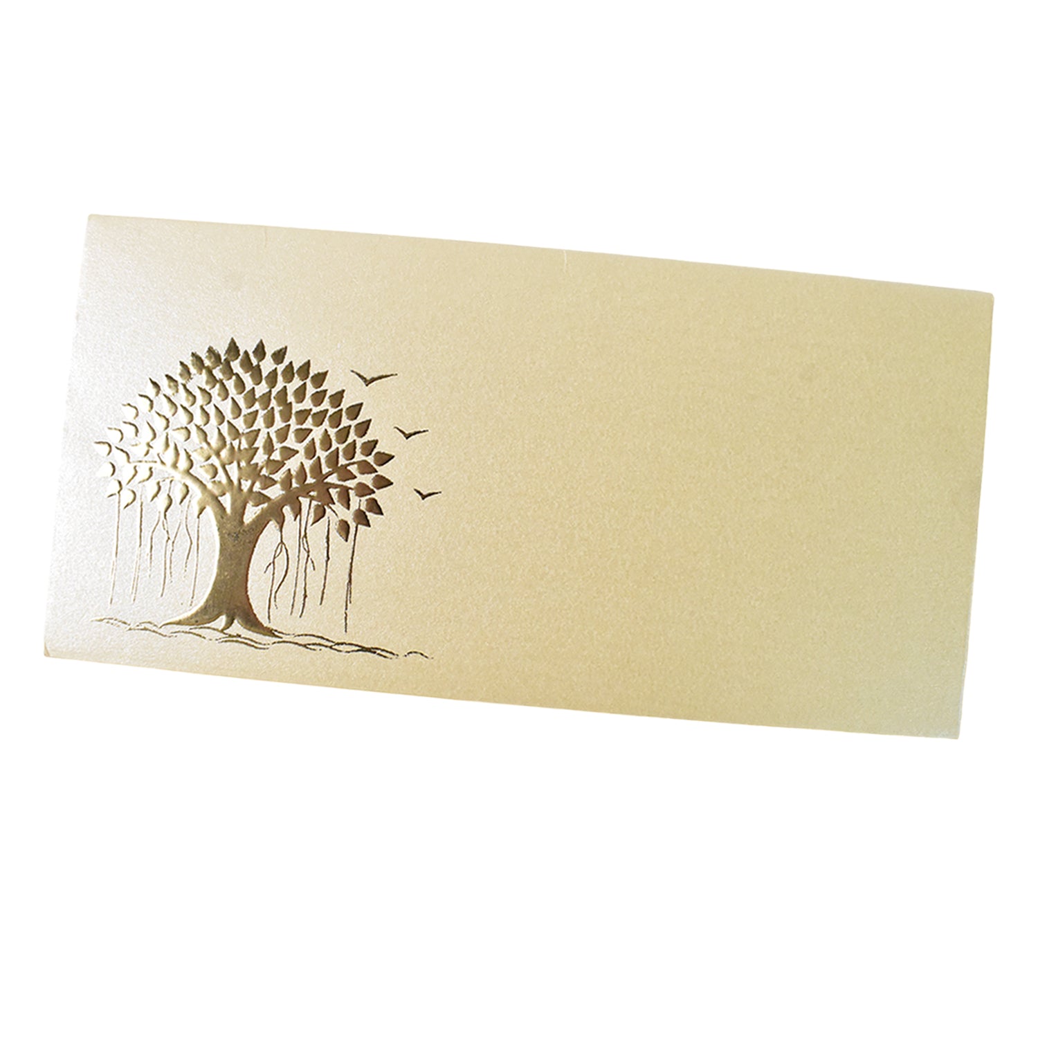 Delights Shagun Money Gift Envelopes (10 pcs)