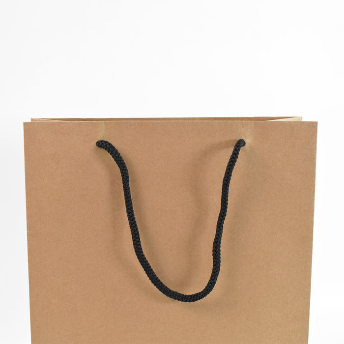 EcoTiny Paper Bag - The Perfect Compact, Eco-Friendly Solution (8x11x3 Inch)