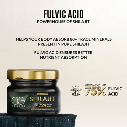 OG Wellness Immunity Boost Shilajit