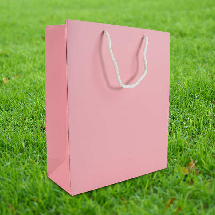 Plain Pink Paper Wedding Gift Bag (10x12x4 inch)