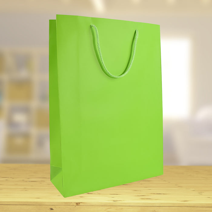 Parrot Green Paper Shopping Bag (10x14x5 inch)