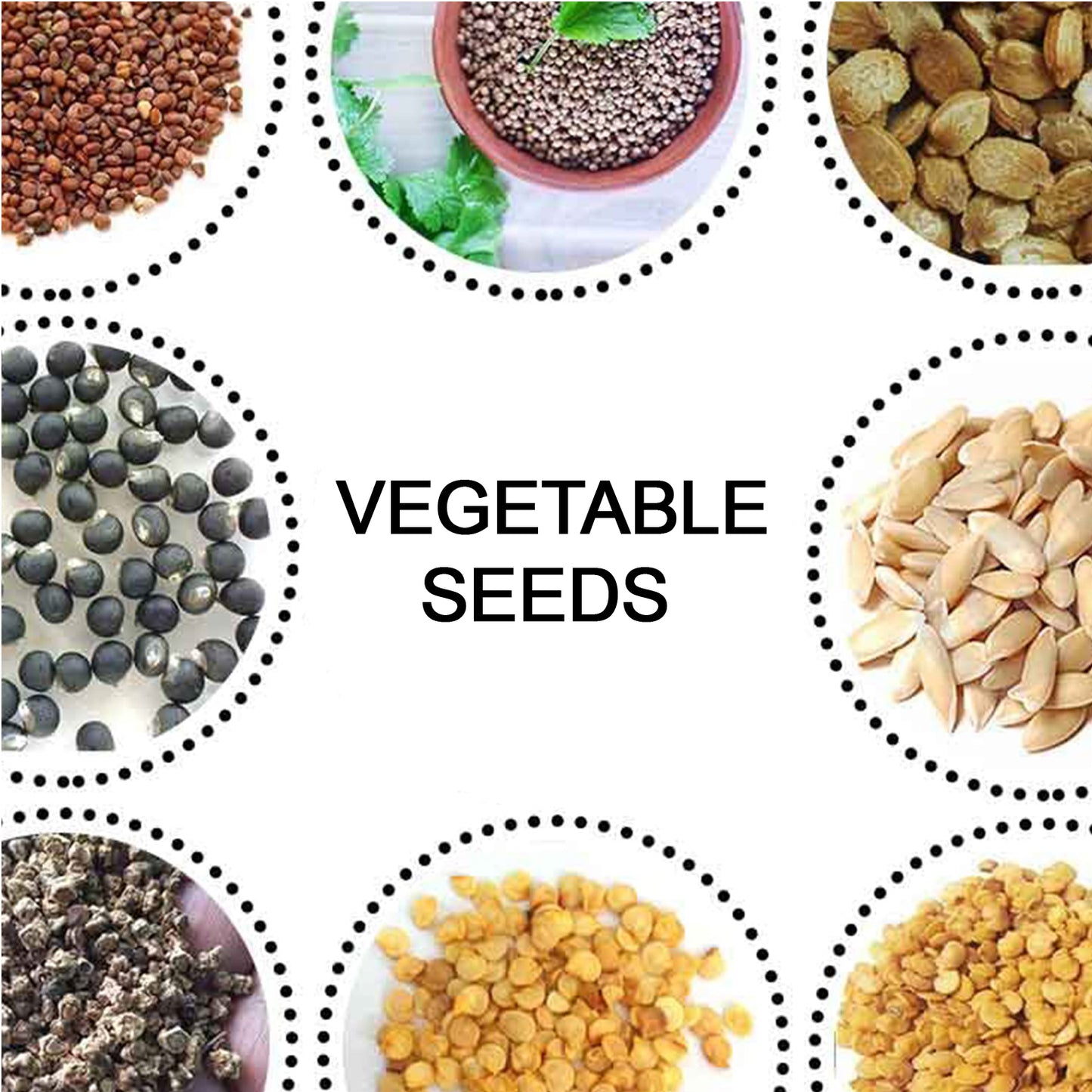 15 Varieties of Vegetable Seeds Combo (1 Pkt. / 15 Varieties)