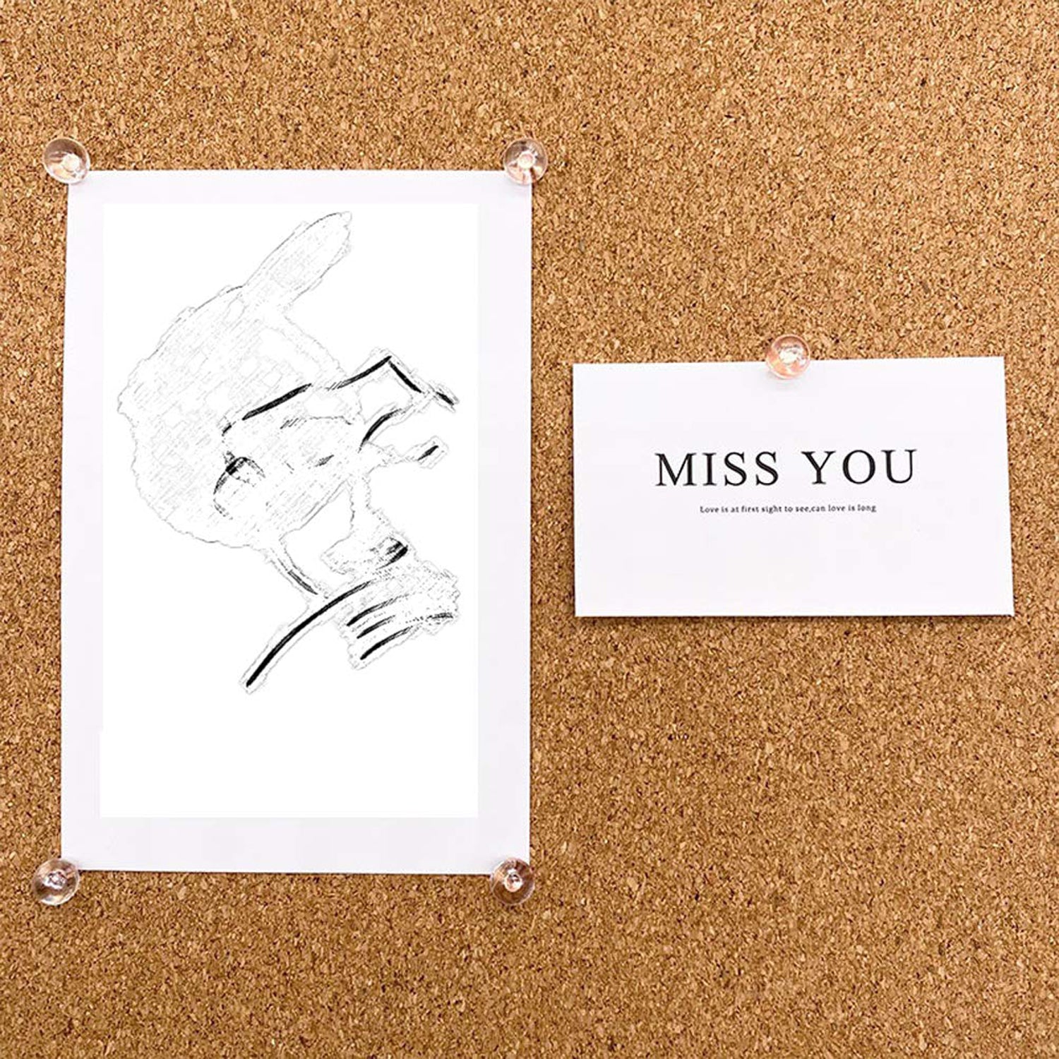 Transparent Crystal Head Push Pins Set for Notice Board (30 pc)