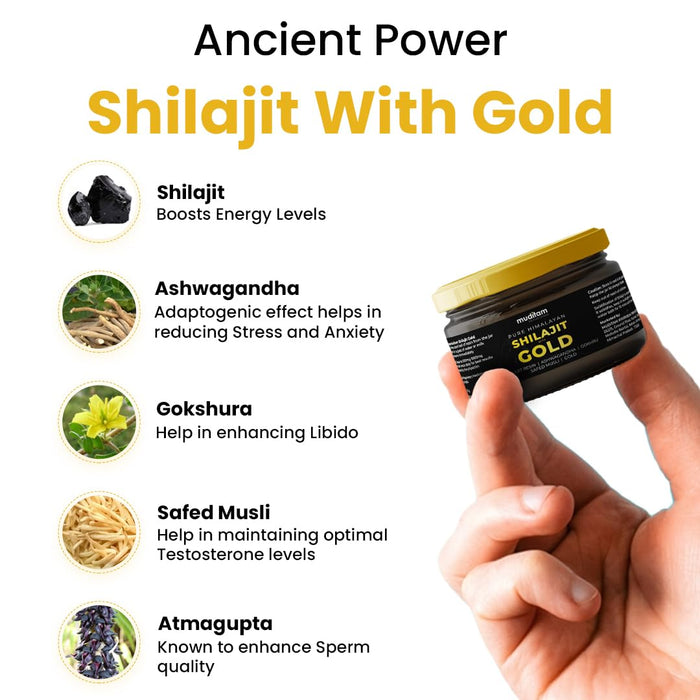 Himalayan Shilajit Gold Resin – 20g | Helps improve Stamina | Contains Gold