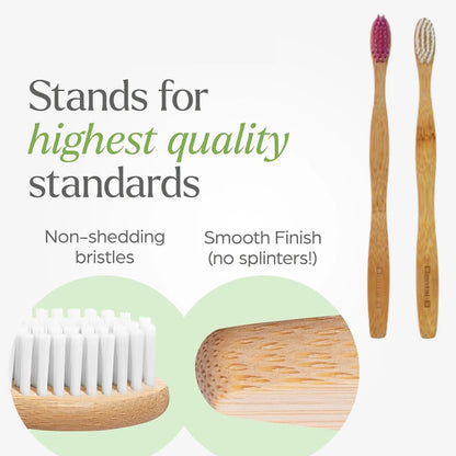 Premium Wall Mounted Toothbrush Holder Set (1 Set)