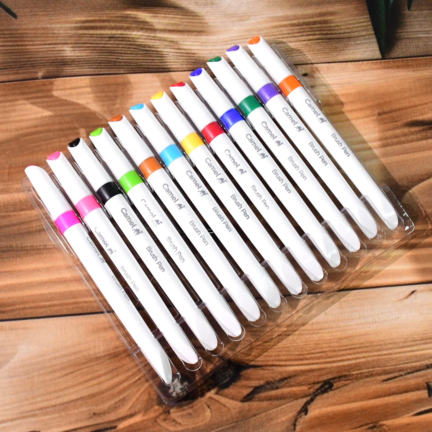 Camel Brush Pens – 12 Vibrant Shades (Flexible Tip for Watercolor Effects, Lettering & Sketching)