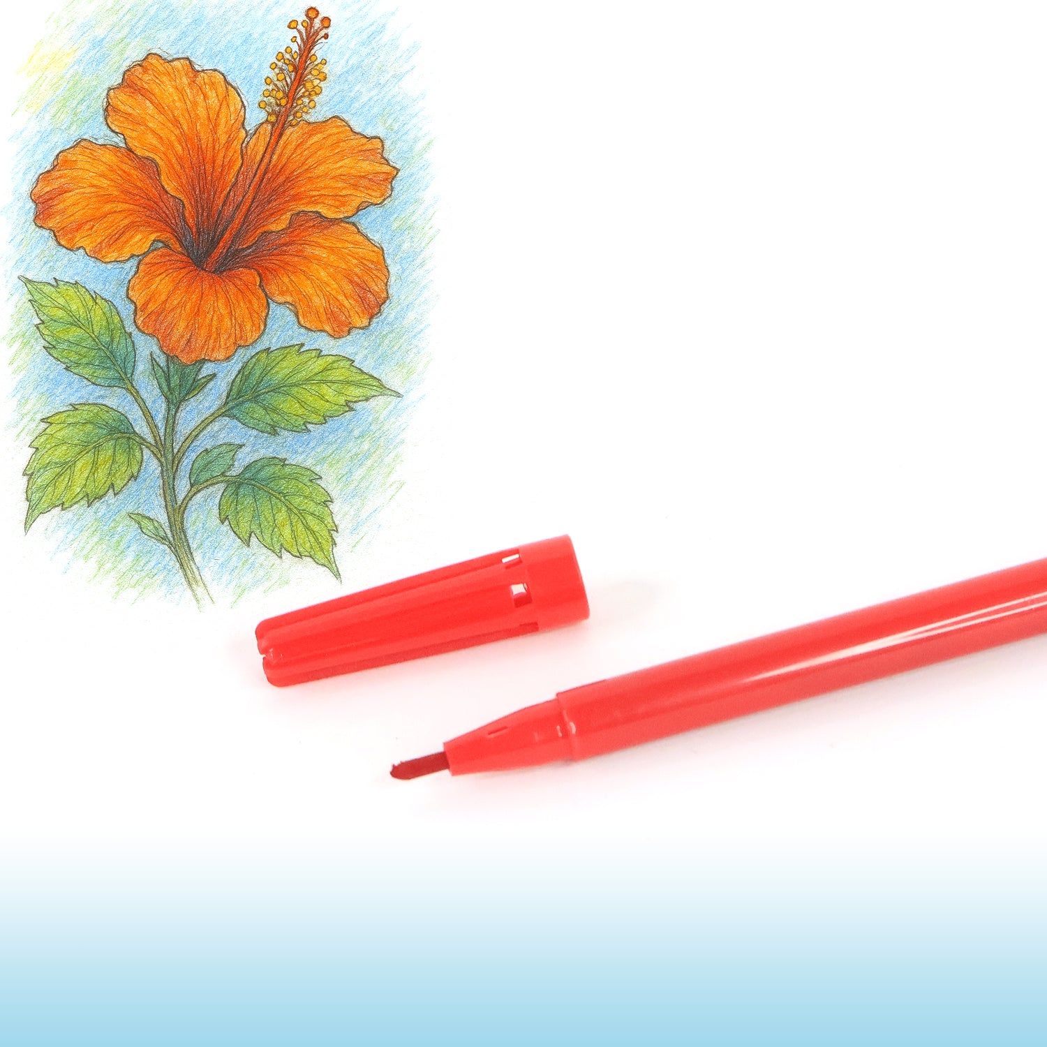 Camel Sketch Pens color with stantil alphabet – 24 Shades