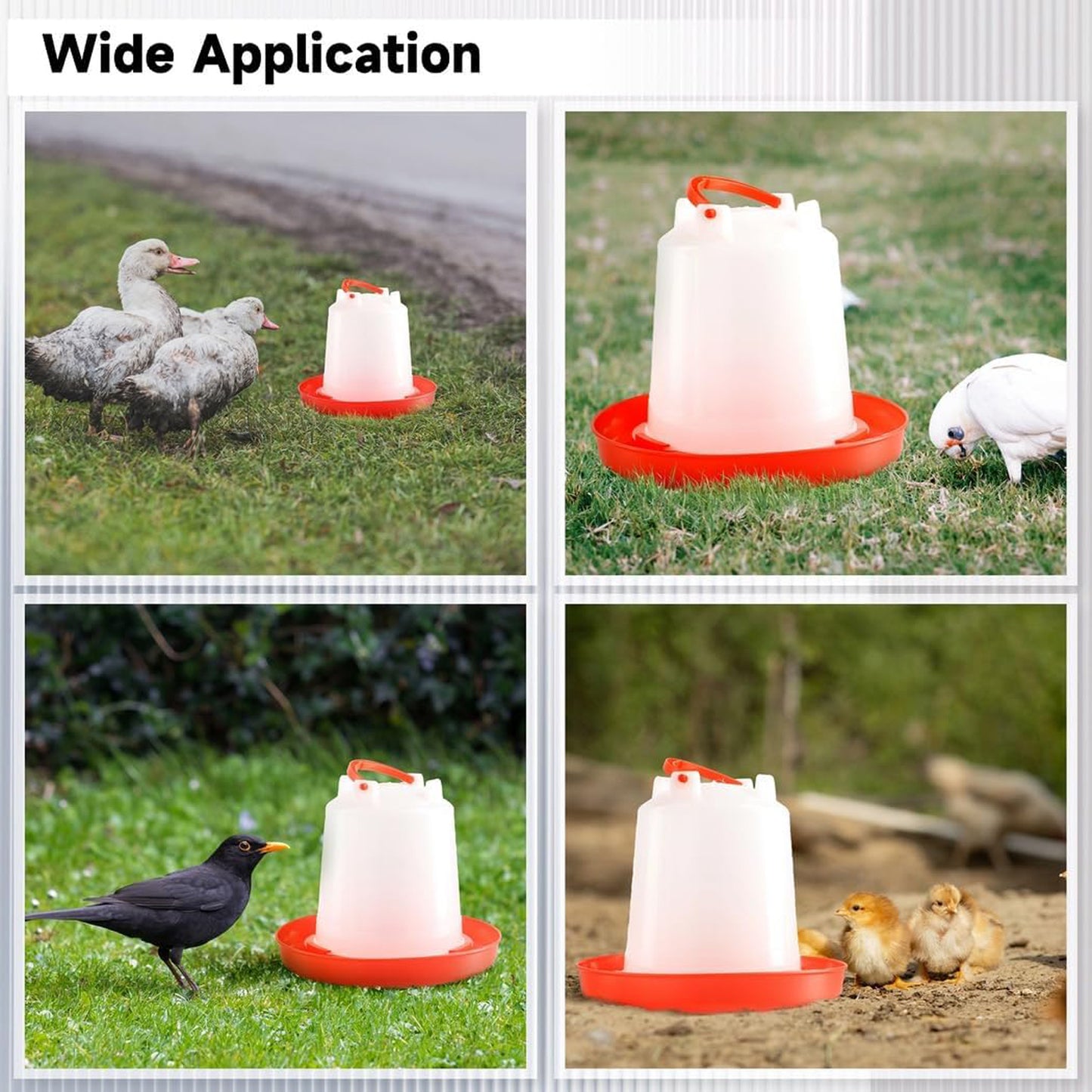 Automatic Chicken Drinker Chicken Feeder with Humanized Handle