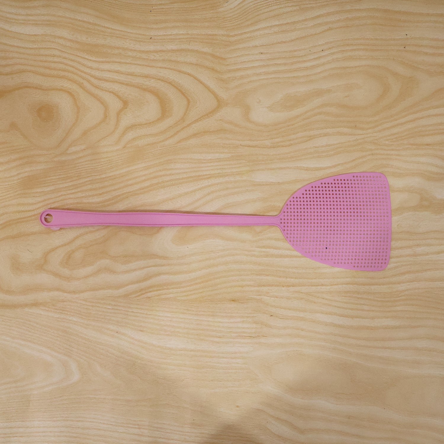 manual bug swatter tool