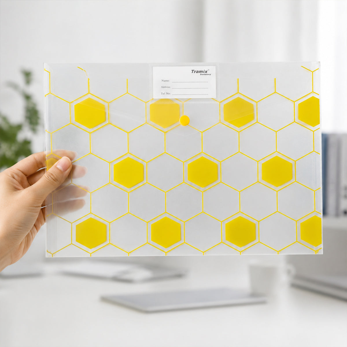 File folder white bg