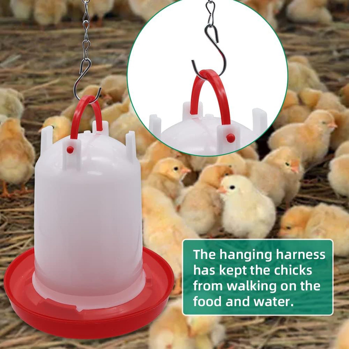 Automatic Chicken Drinker Chicken Feeder with Humanized Handle