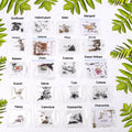 Flower Seeds Combo – 20 Varieties for Vibrant Gardens