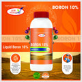 Boron 10% Liquid Fertilizer – Boosts Flowering & Fruit Setting