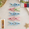 Reusable Plastic Drying Clothes Clips with Strong Grip for Laundry Use (10 Pc)
