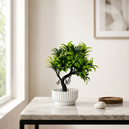 Plant-4