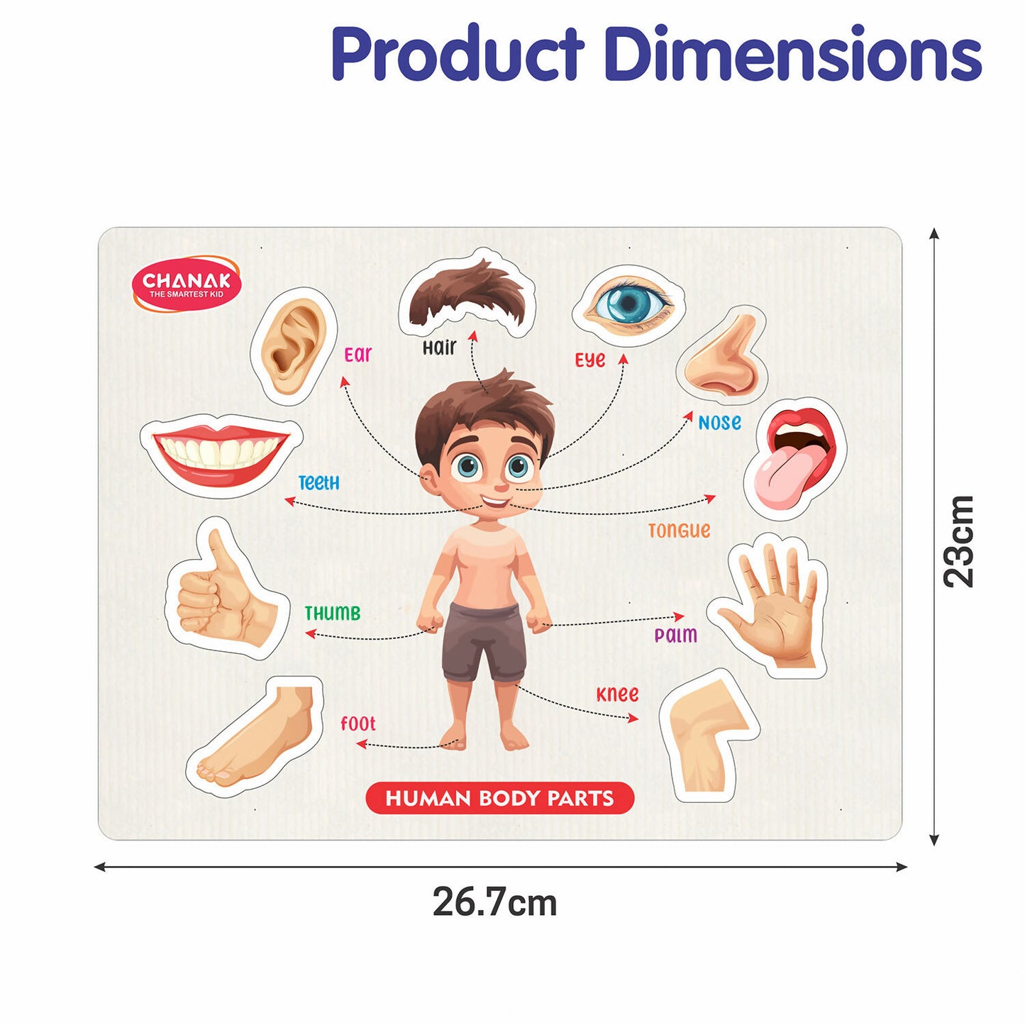 Wooden Human Body Parts Puzzle – Fun Early-Learning Board for Kids