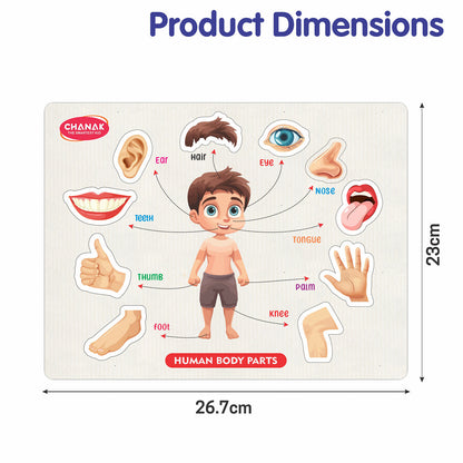 Wooden Human Body Parts Puzzle – Fun Early-Learning Board for Kids