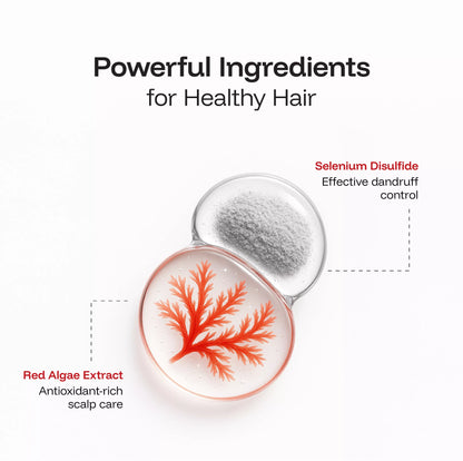 Fresh scented anti dandruff shampoo lather for healthy scalp