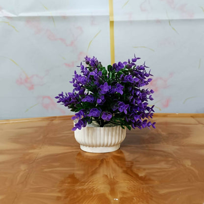 Decorative-Plant-06
