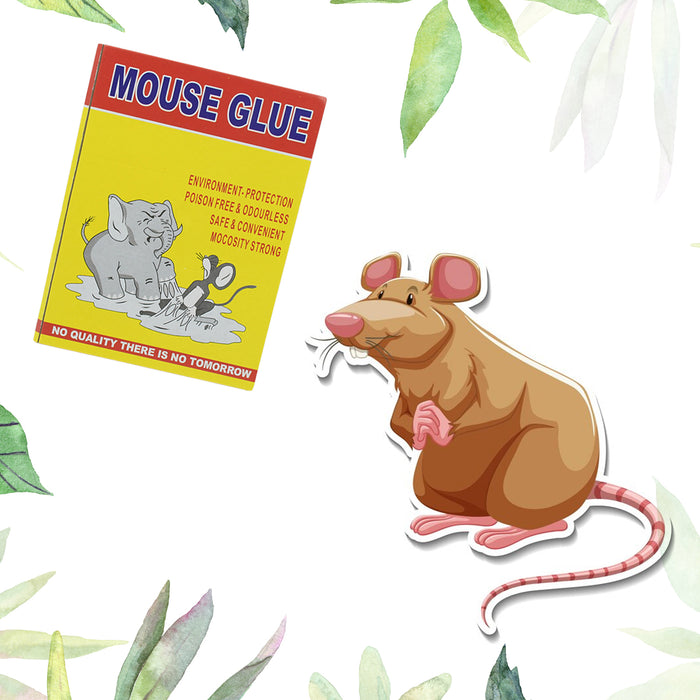 1210 Mouse Trap Glue Pad, No Smell, Non-Poisonous, Easy to Use, Easily —  DeoDap