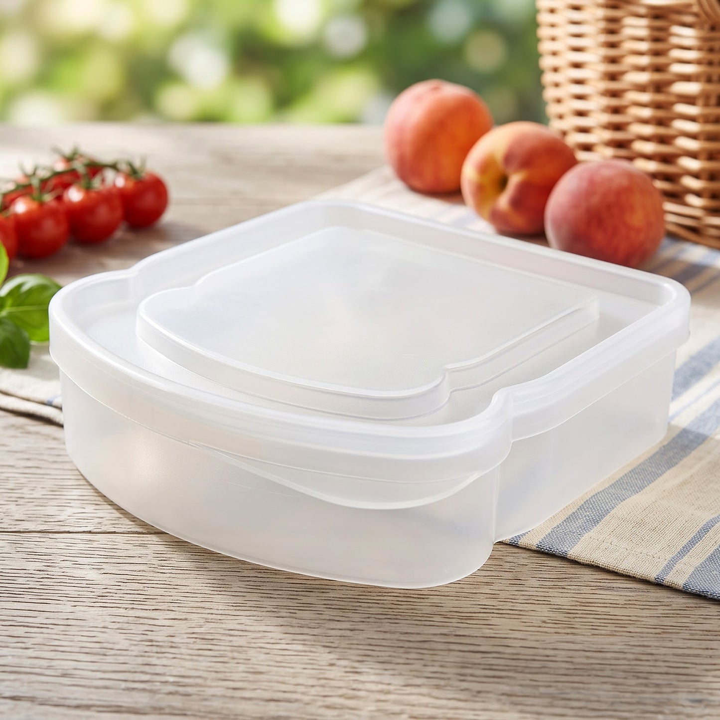 Compact plastic sandwich box view