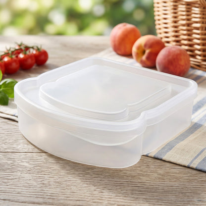 Compact plastic sandwich box view