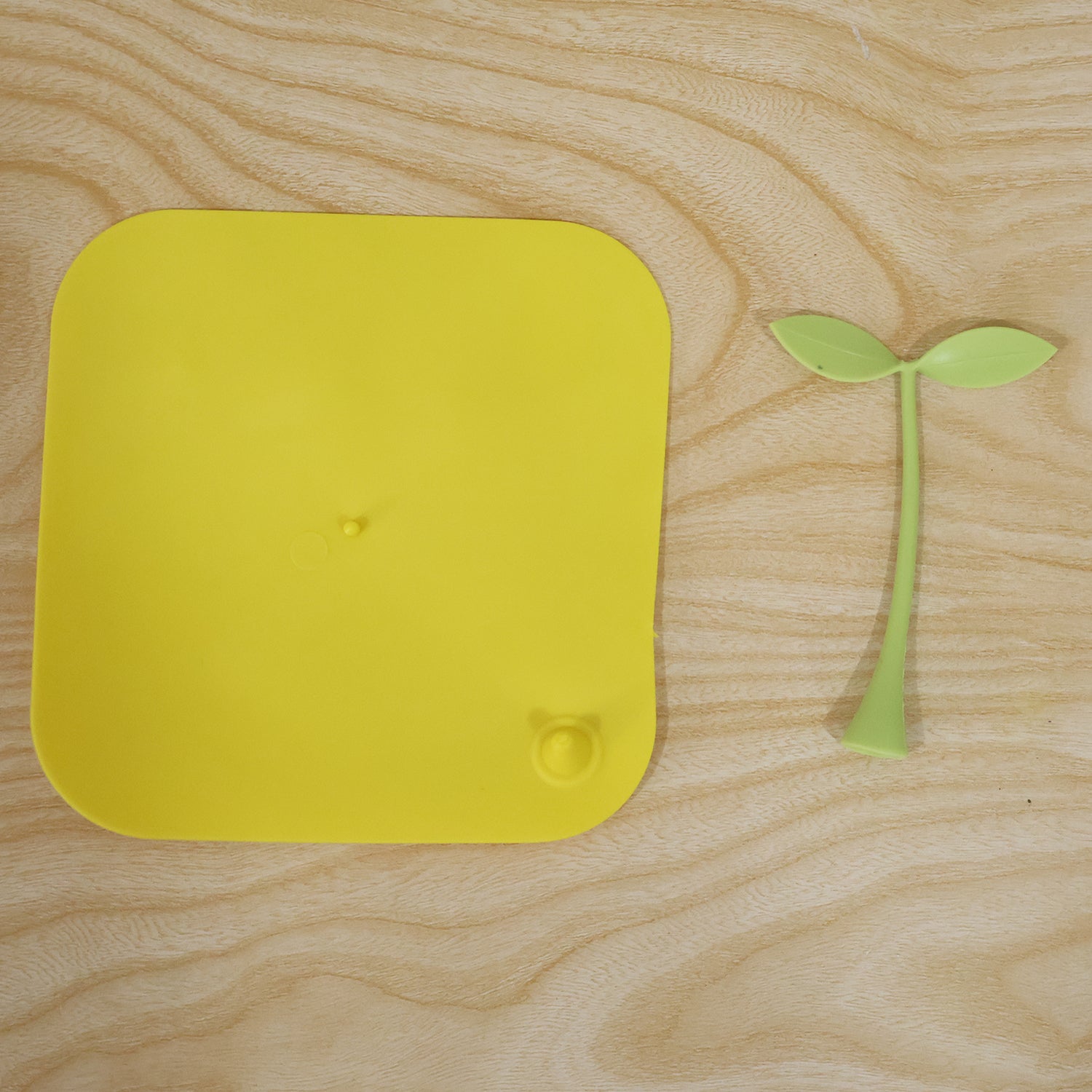 Silicone bean sprout floor drain cover live photo