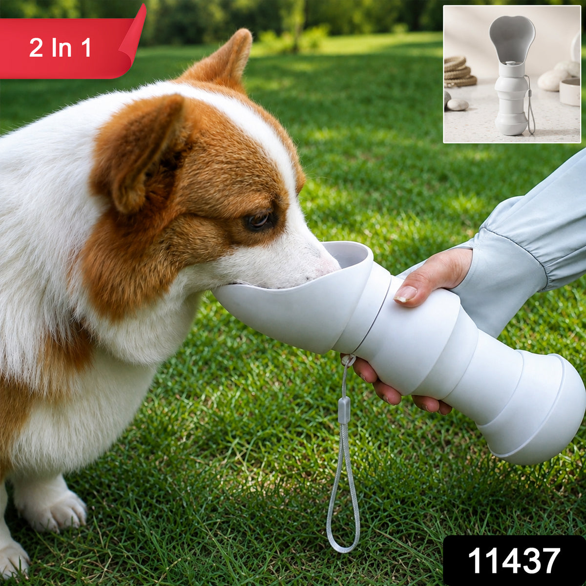 11437 portable pet feeding bowl