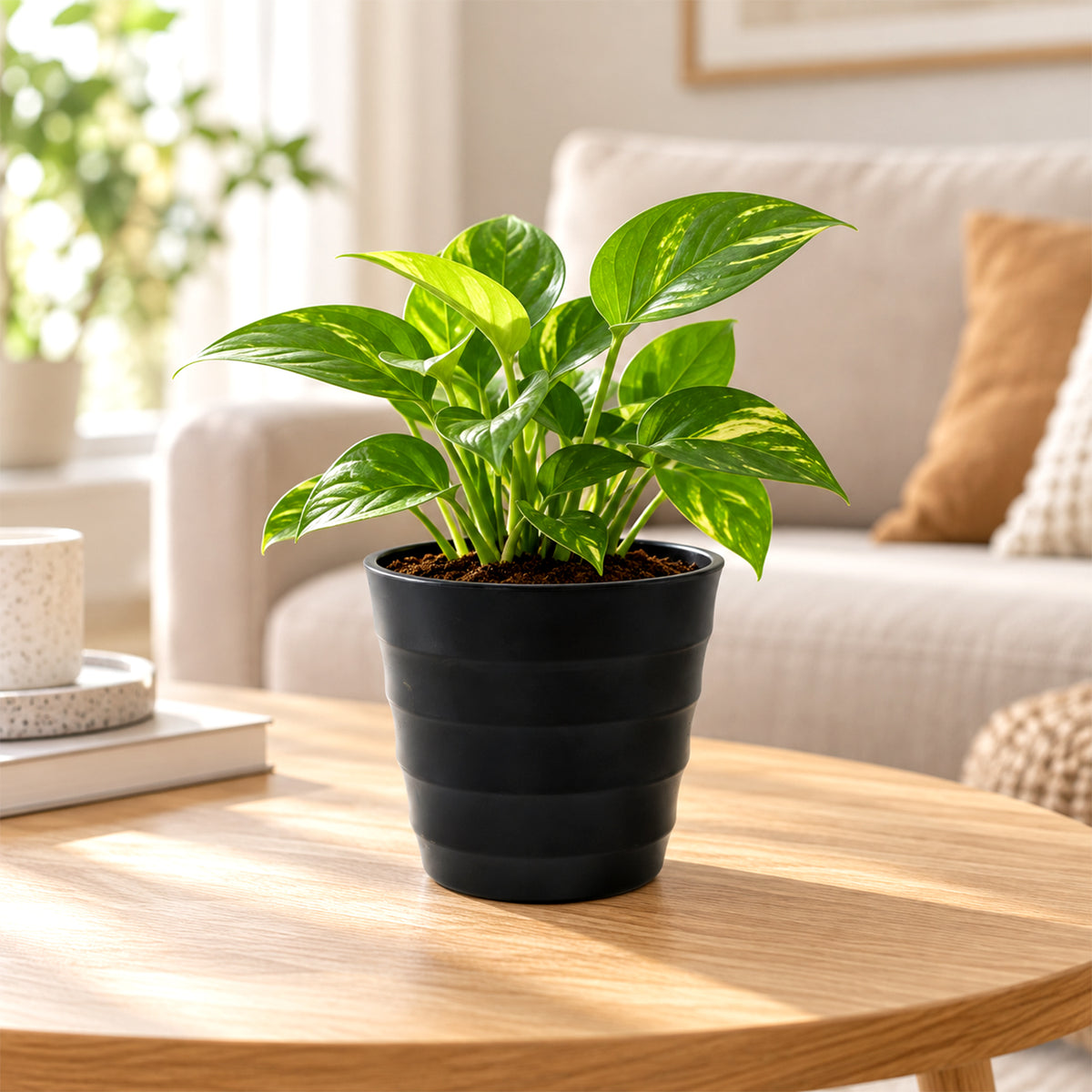 Decorative plastic flower pot product image 3