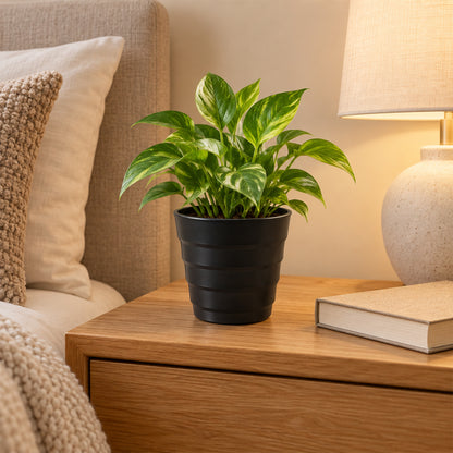Decorative plastic flower pot product image 4