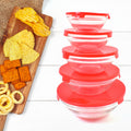 Glass Bowl Set – 5 Pcs Mixing & Storage with Lids | Organivo