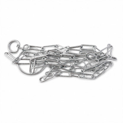 Dog chain leash white bg