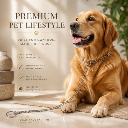 Dog chain leash walking use