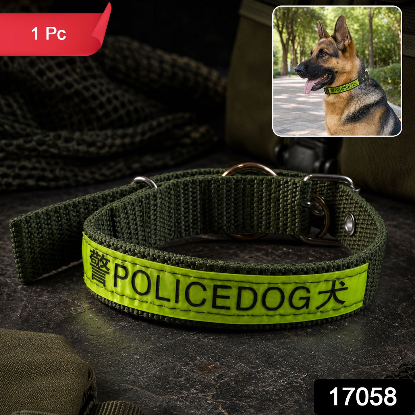 Close-up of reflective nylon dog collar with sturdy metal buckle
