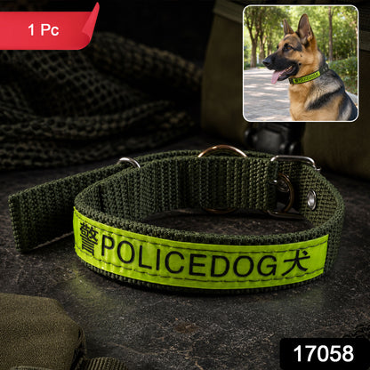 Close-up of reflective nylon dog collar with sturdy metal buckle