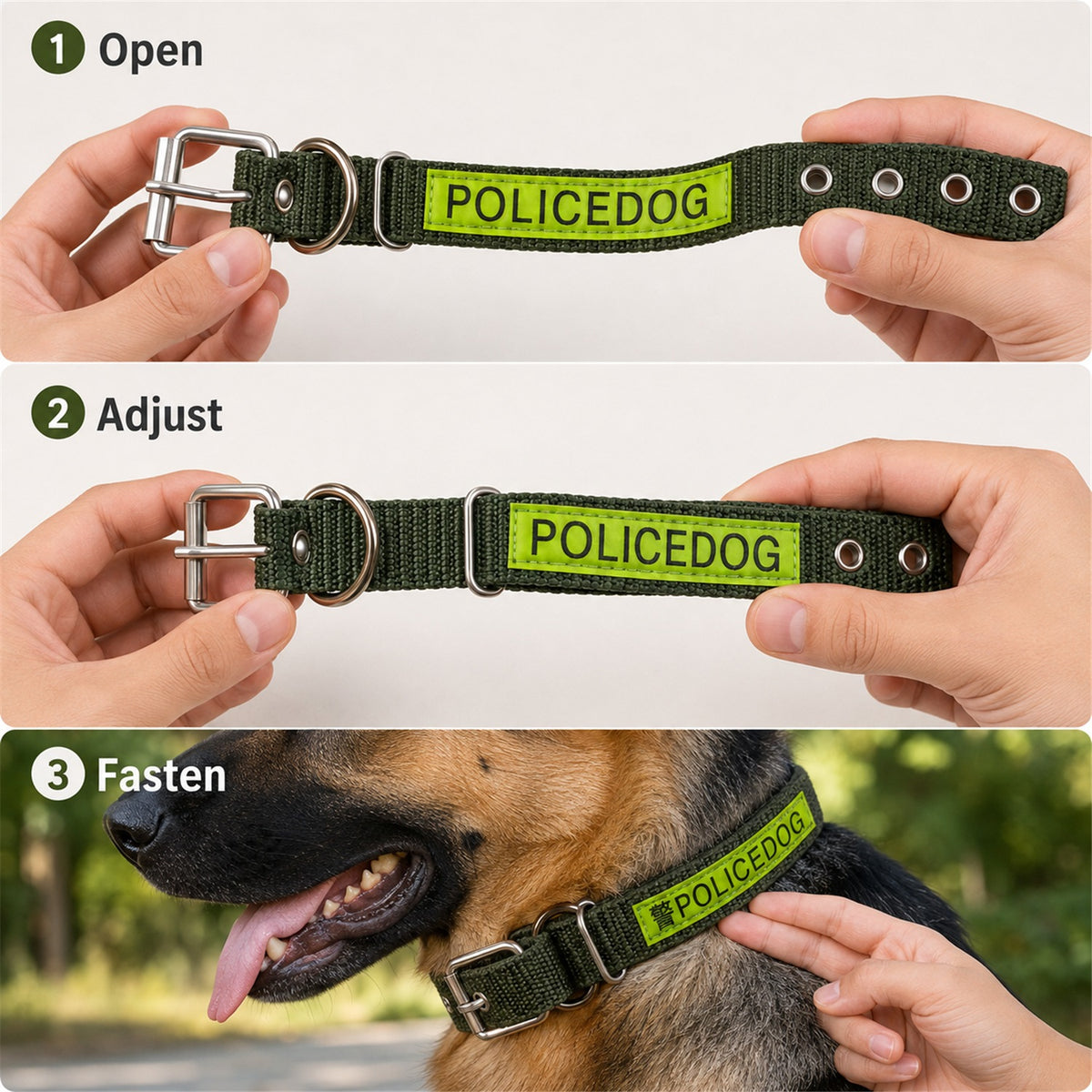 17058_nylon_dog_collar_with_metal_buckle image 6