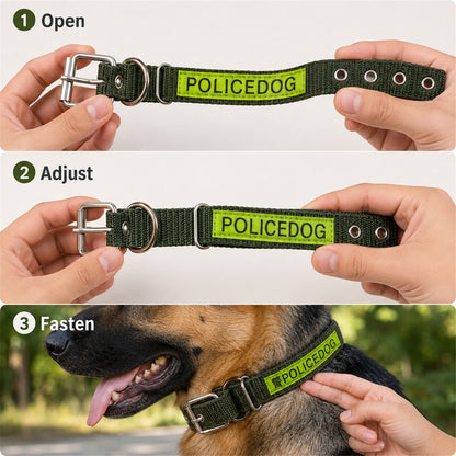 17058_nylon_dog_collar_with_metal_buckle image 6
