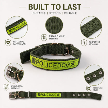 17058_nylon_dog_collar_with_metal_buckle image 8