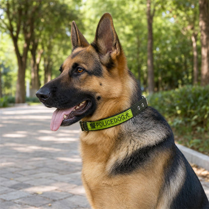 17058_nylon_dog_collar_with_metal_buckle image 10