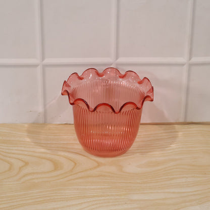 17122 decorative ruffled flower pot live