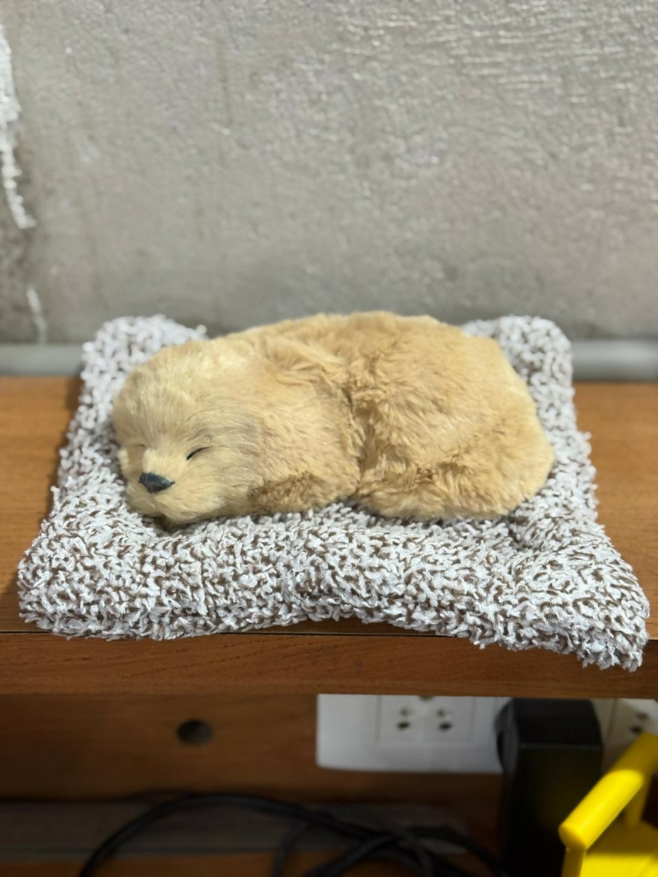 Realistic Sleeping Puppy Toy on Soft Blanket Cushion | Lifelike Artificial Pet Dog Figurine | Adorable Faux Fur Puppy for Home Décor, Gift & Desk Display | Cute Sleeping Dog Model | Stress Relief Toy Puppy Decoration