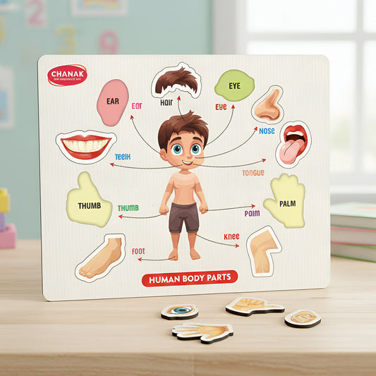 Wooden Human Body Parts Puzzle – Fun Early-Learning Board for Kids