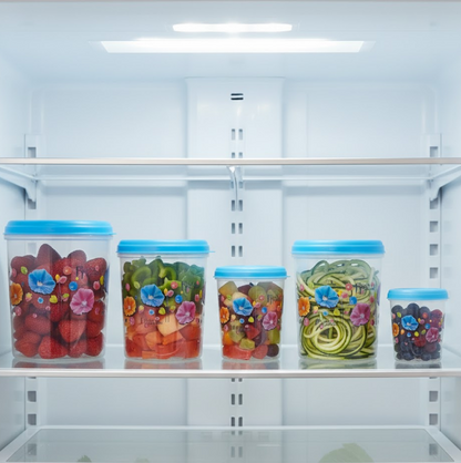 Plastic Transparent Container Air Tight Dabba Set (3000ml, 2000ml, 1000ml, 750ml, 500ml)