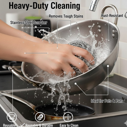 Stainless Steel Kitchen Scrubber (1 pc)